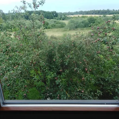 Viesu Maja Manturi * Peipini